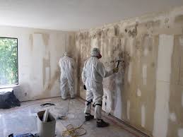 Best Post-Construction Mold Inspection  in Browns Lake, WI